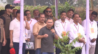 প্রধানমন্ত্রীর উপস্থিতিতে একযোগে আড়াই হাজার গাছের চারা রোপণ
