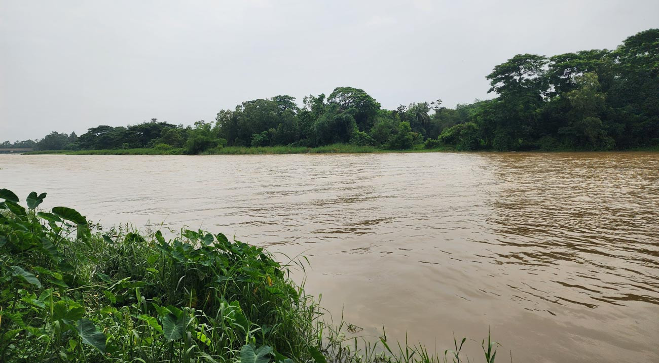 পাহাড়ি ঢলে ফেনীতে মুহুরী নদীর পানি বৃদ্ধির তীব্র বেগ, ভাঙন আতঙ্কে মানুষ