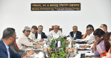 বৃক্ষরোপণ কর্মসূচিতে এ পর্যন্ত ৩ কোটি ৫৭ লাখ চারা রোপণ