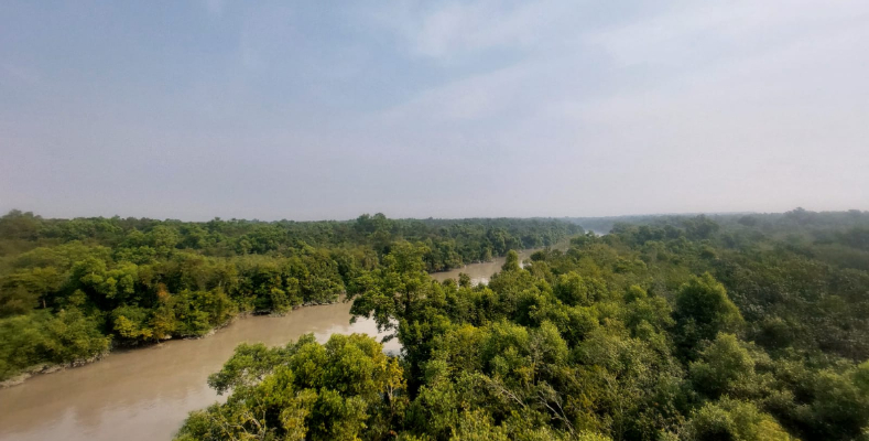 সুন্দরবন সংলগ্ন খাল।