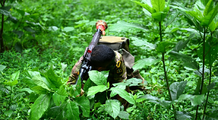 ছবি