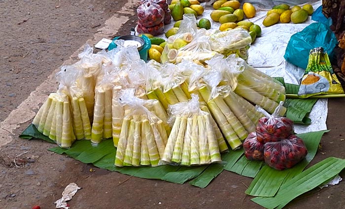 বিক্রির জন্য রাখা হয়েছে বাঁশকোড়ল।